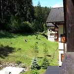 Hrabovo Barbora 19 * روجومبيروك